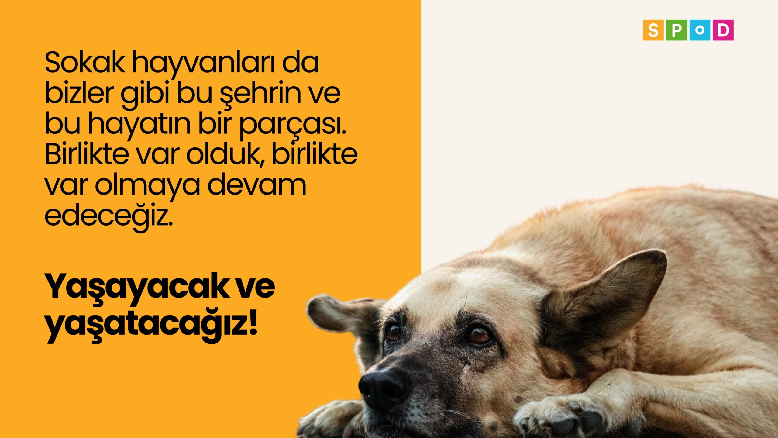 Yaşamdan Yanayız!